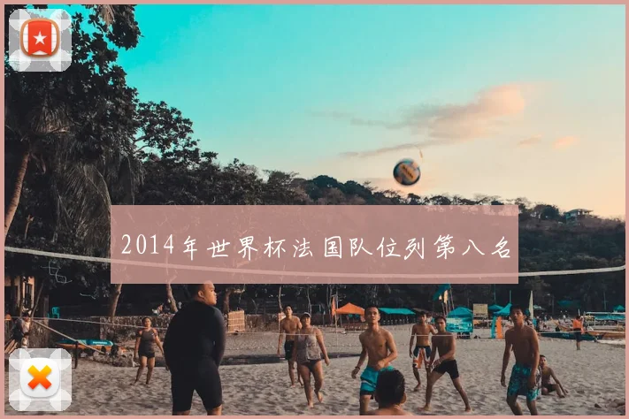 2014年世界杯法国队位列第八名