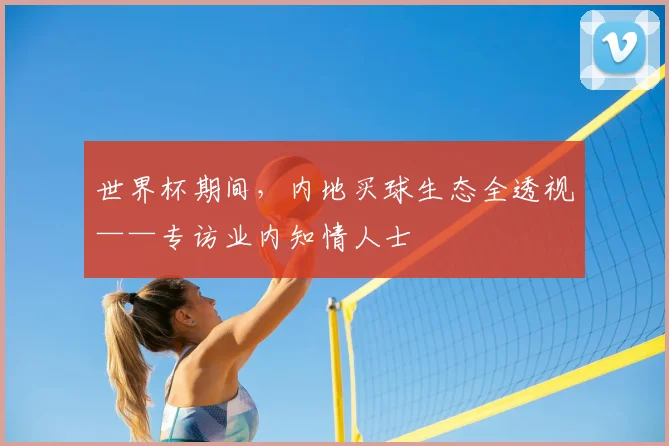 世界杯期间，内地买球生态全透视——专访业内知情人士