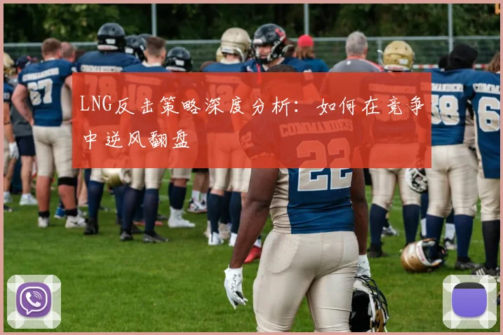 LNG反击策略深度分析：如何在竞争中逆风翻盘