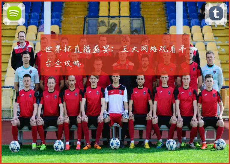 世界杯直播盛宴：五大网络观看平台全攻略