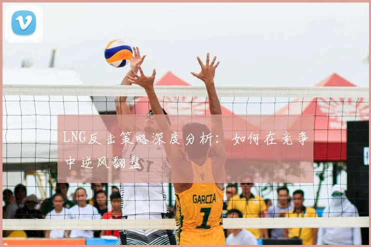 LNG反击策略深度分析：如何在竞争中逆风翻盘