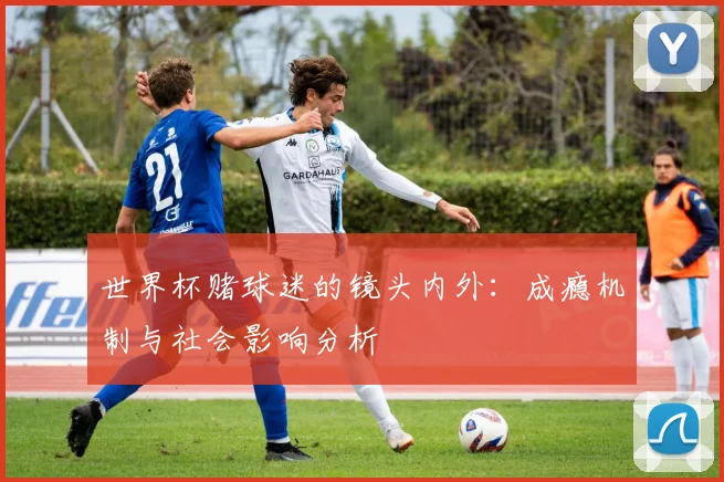 世界杯赌球迷的镜头内外：成瘾机制与社会影响分析