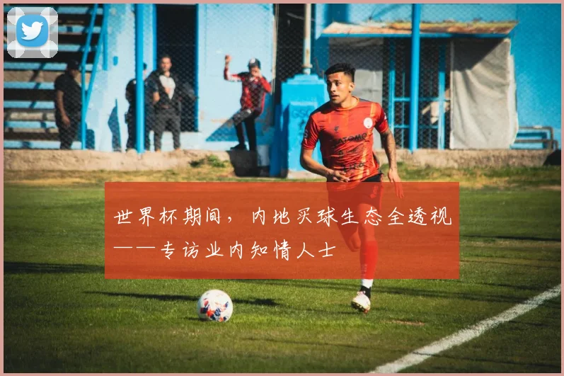 世界杯期间，内地买球生态全透视——专访业内知情人士