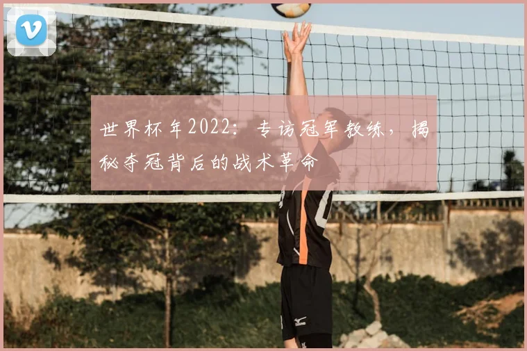 世界杯年2022：专访冠军教练，揭秘夺冠背后的战术革命