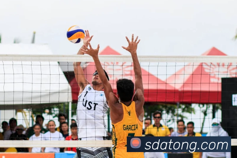 kaiyun平台生态图